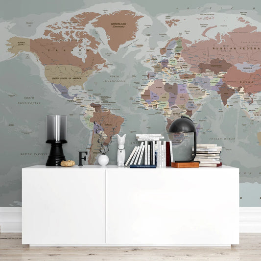 World Map Wallpaper Peel and Stick Gray Political Map Wall Mural