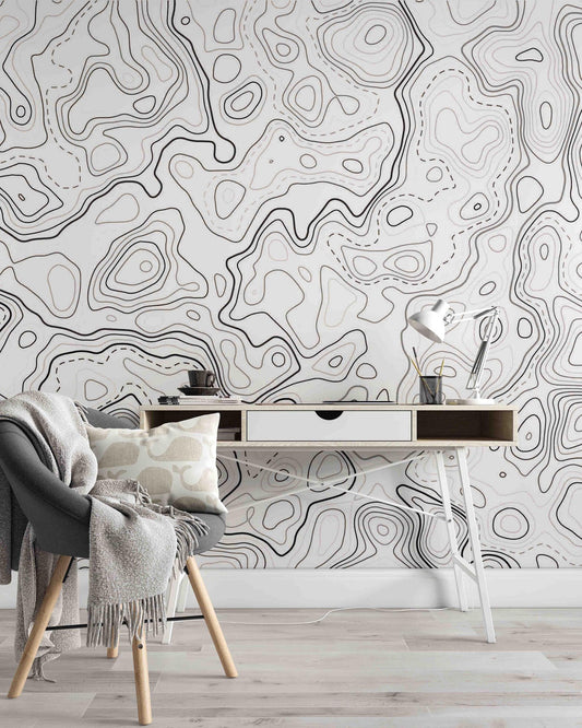 Black and White Topographic Map Patterns Wallpaper, Peel and Stick Wallpaper, Stylish Room Design, Modern Wallpaper, Abstract Wallpaper