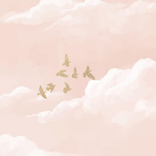 Somon Pink Sky Wallpaper, Watercolor Somon Pink Cloud and Birds Wall Poster, Baby Girl Wallpaper, Painting Art Wallpaper Nursery