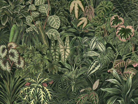 Green Leaves Wallpaper, Dark Botanical Wallpaper, Botany Night Wallpaper, Exotic Plants Wallpaper, Bohemian Wallpaper