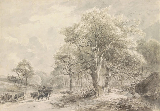 Soft Colored Village Forest Trees Wallpaper, Bohemian Trees Wall Mural, Peel and Stick Wallpaper, Mystic Room Design, Nature Wallpaper