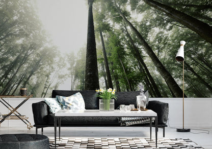 Forest Living Room Nature Tree Wallpaper