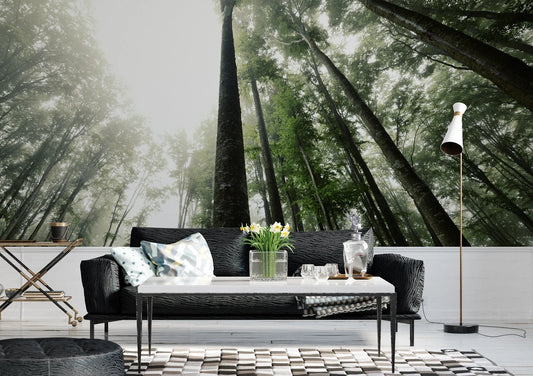 Forest Living Room Nature Tree Wallpaper