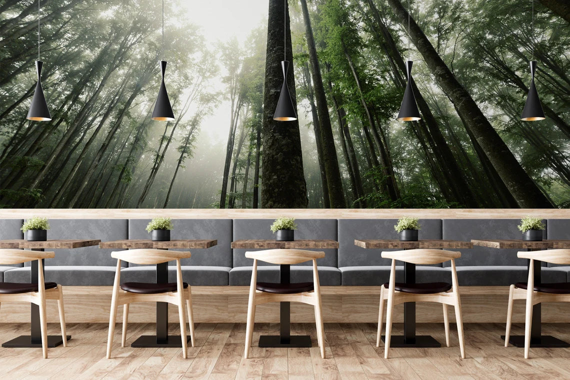 Forest Living Room Nature Tree Wallpaper