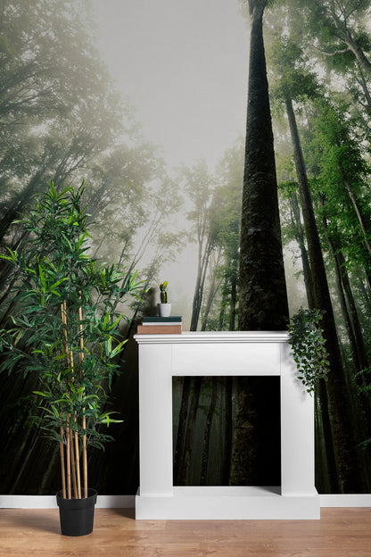 Forest Living Room Nature Tree Wallpaper