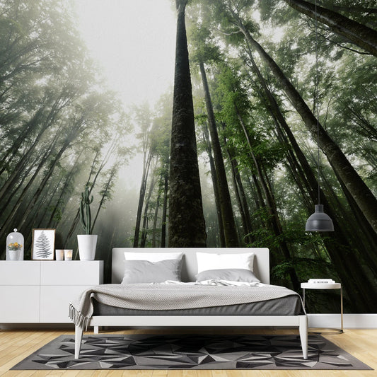 Forest Living Room Nature Tree Wallpaper