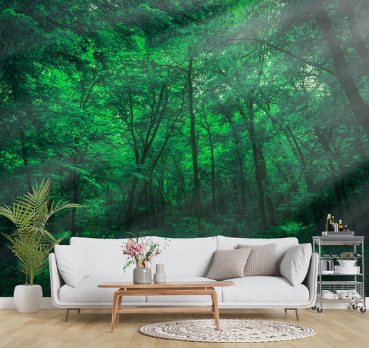 Green Nature Rainforest Wallpaper
