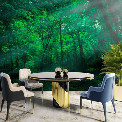 Green Nature Rainforest Wallpaper