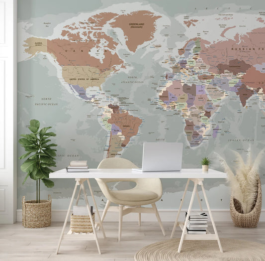 World Map Wallpaper Peel and Stick  Gray Political Map Wall Mural