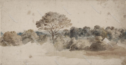 Romantic Brown Forest Watercolor Wallpaper, Trees Wallpaper, Bohemian Wall Mural, Peel and Stick Wallpaper, Stylish Room Design, Wall Design