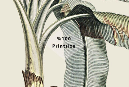 Tropical Palm Trees Exotic Plant Floral Wallpaper, Leaves Wallpaper, Bohemian Wallpaper, Botany Peel and Stick Mural, Stylish Wall Design