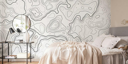 Black and White Topographic Map Patterns Wallpaper, Peel and Stick Wallpaper, Stylish Room Design, Modern Wallpaper, Abstract Wallpaper