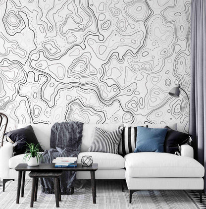 Black and White Topographic Map Patterns Wallpaper, Peel and Stick Wallpaper, Stylish Room Design, Modern Wallpaper, Abstract Wallpaper