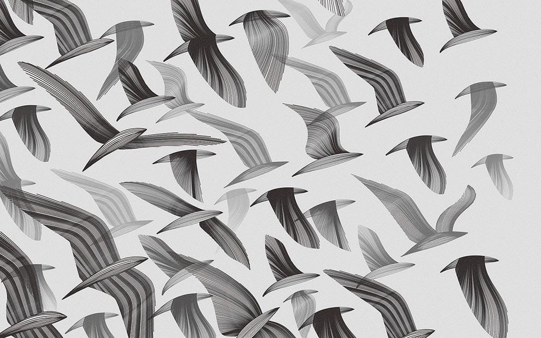 Black Birds Wallpaper, Illustration Birds Pattern Wallpaper, Bathroom Wallpaper, Drawing Wall Mural, Bedroom Wallpaper, Nature Wallpaper