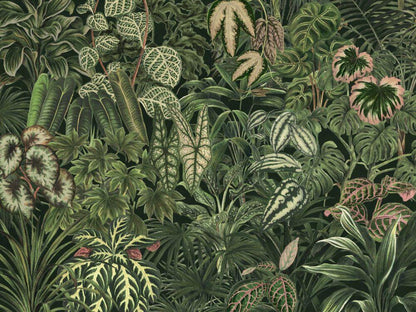 Green Leaves Wallpaper, Dark Botanical Wallpaper, Botany Night Wallpaper, Exotic Plants Wallpaper, Bohemian Wallpaper