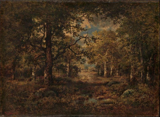 Tual Wallpaper in Vintage Colors Forest, Trees Wallpaper, Bohemian Wall Mural, Peel and Stick Wallpaper, Mystic Room Design